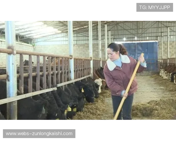 莱州教练李晶：深耕基层训练，多次获政府嘉奖